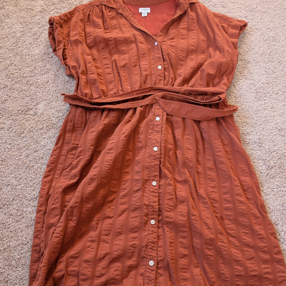 JCrew Rust Button-Up Dress